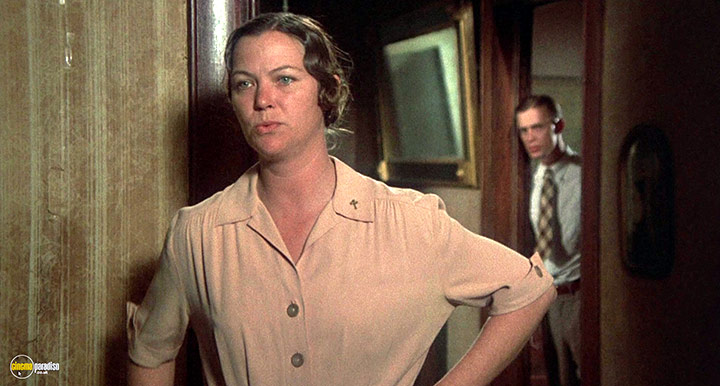 A still #44 from Thieves Like Us (1974)