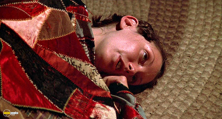 A still #23 from Thieves Like Us (1974)