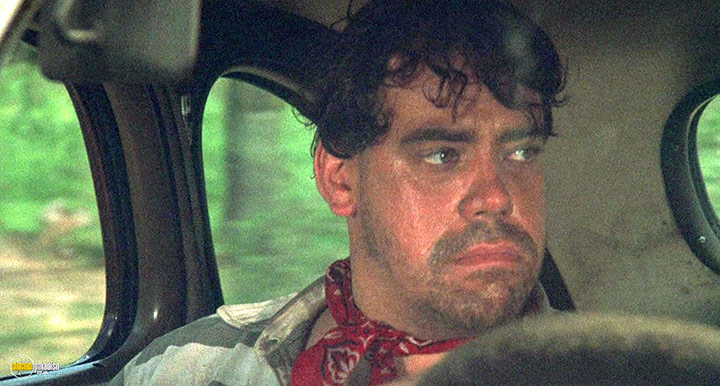 A still #16 from Thieves Like Us (1974)