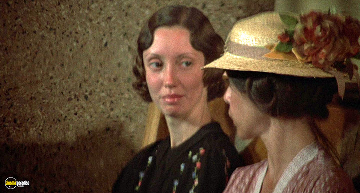 A still #11 from Thieves Like Us (1974)