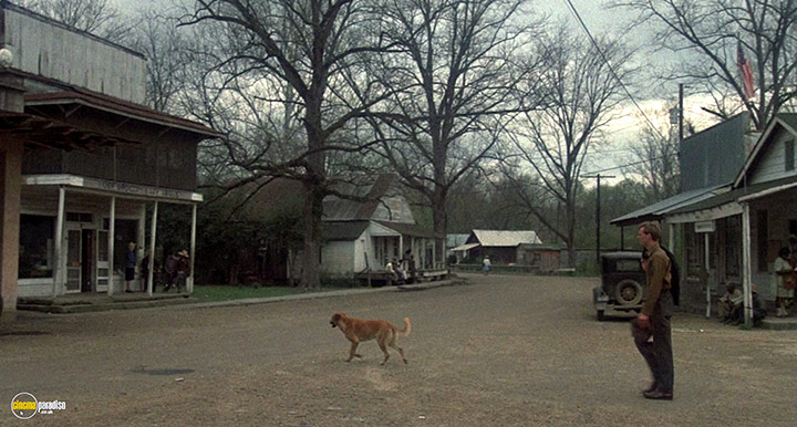 A still #9 from Thieves Like Us (1974)