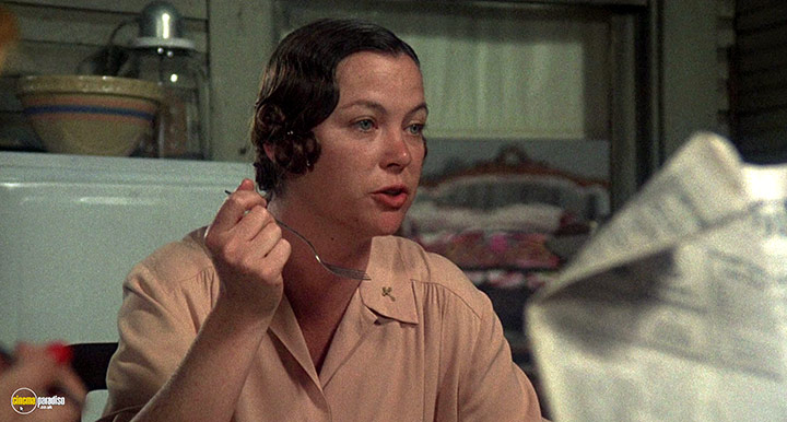 A still #2 from Thieves Like Us (1974)
