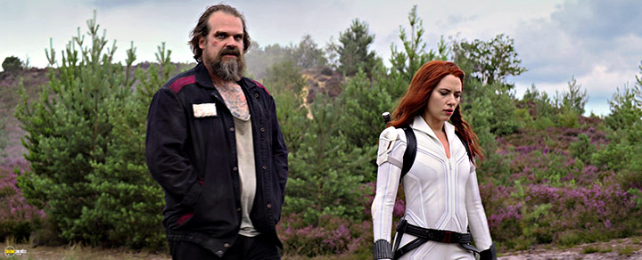 A still #38 from Black Widow (2021)