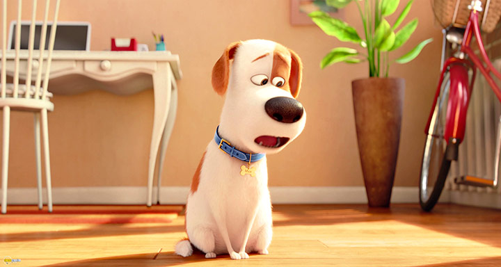 A still #87 from The Secret Life of Pets (2016)