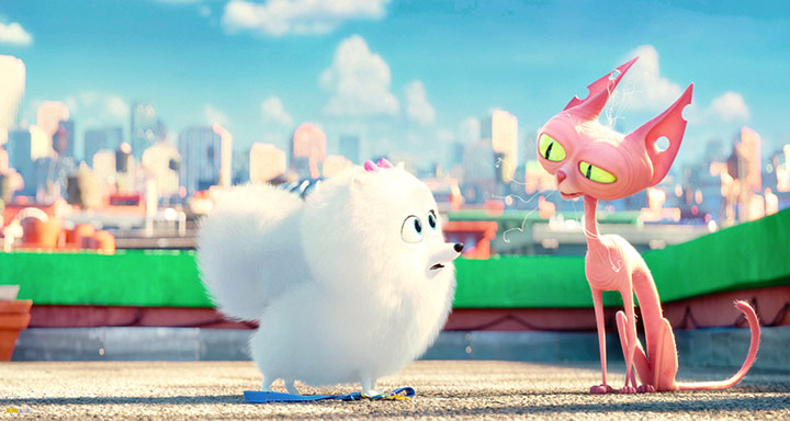A still #86 from The Secret Life of Pets (2016)