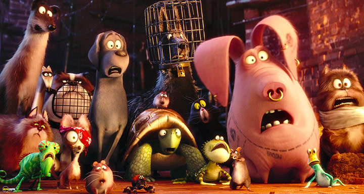 A still #84 from The Secret Life of Pets (2016)