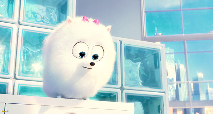 A still #83 from The Secret Life of Pets (2016)
