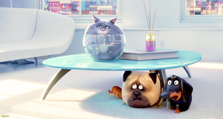 A still #82 from The Secret Life of Pets (2016)