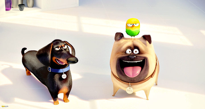 A still #81 from The Secret Life of Pets (2016)