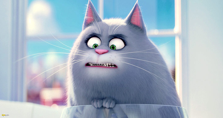A still #80 from The Secret Life of Pets (2016)
