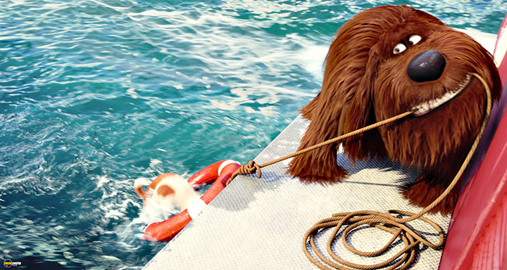 A still #78 from The Secret Life of Pets (2016)