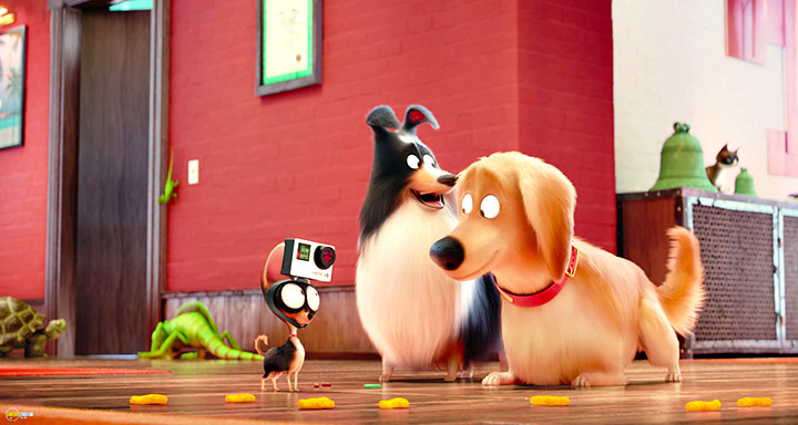 A still #77 from The Secret Life of Pets (2016)