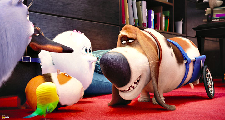 A still #76 from The Secret Life of Pets (2016)