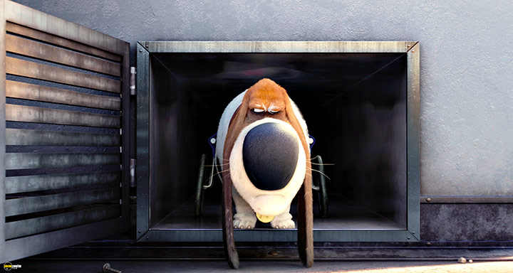 A still #73 from The Secret Life of Pets (2016)