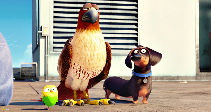 A still #72 from The Secret Life of Pets (2016)