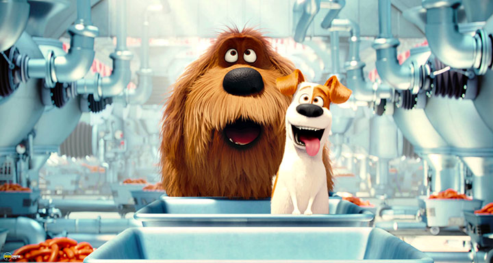 A still #49 from The Secret Life of Pets (2016)