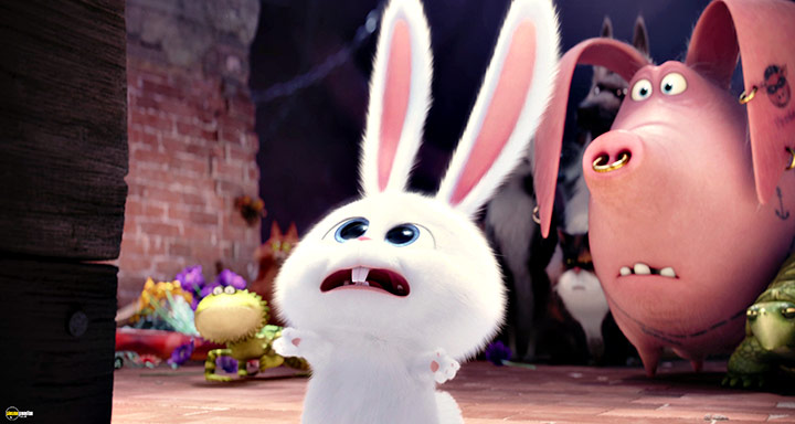 A still #71 from The Secret Life of Pets (2016)