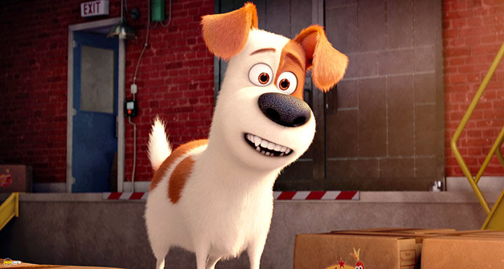 A still #69 from The Secret Life of Pets (2016)