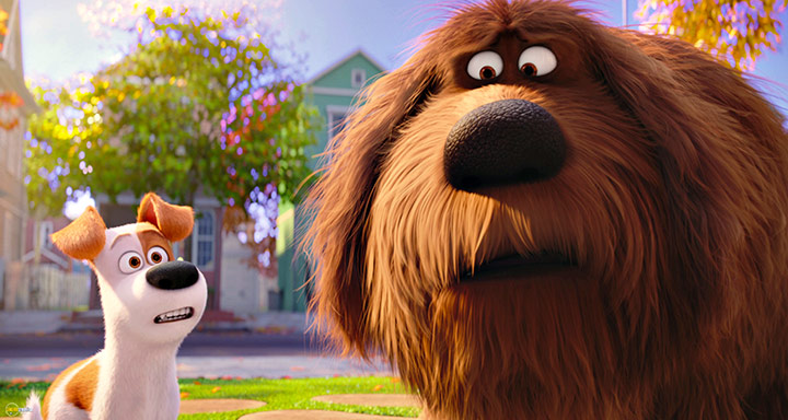 A still #68 from The Secret Life of Pets (2016)