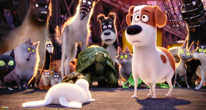 A still #66 from The Secret Life of Pets (2016)