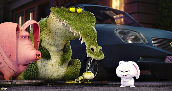 A still #64 from The Secret Life of Pets (2016)