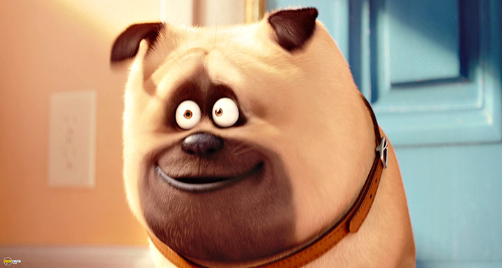 A still #60 from The Secret Life of Pets (2016)