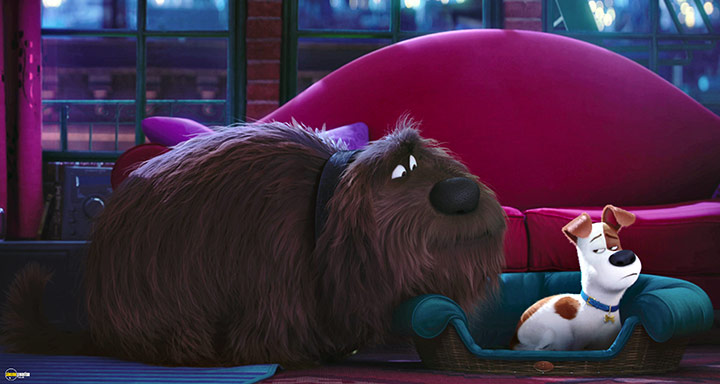 A still #57 from The Secret Life of Pets (2016)