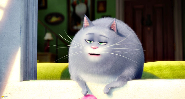 A still #56 from The Secret Life of Pets (2016)