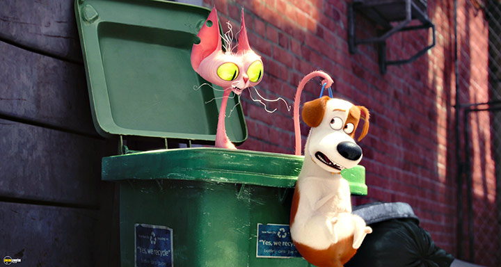 A still #55 from The Secret Life of Pets (2016)