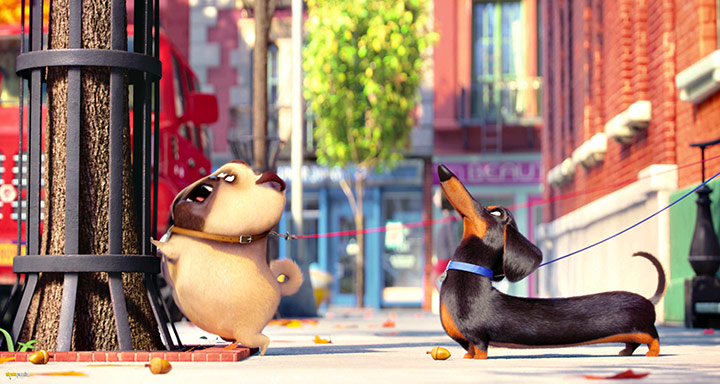 A still #53 from The Secret Life of Pets (2016)