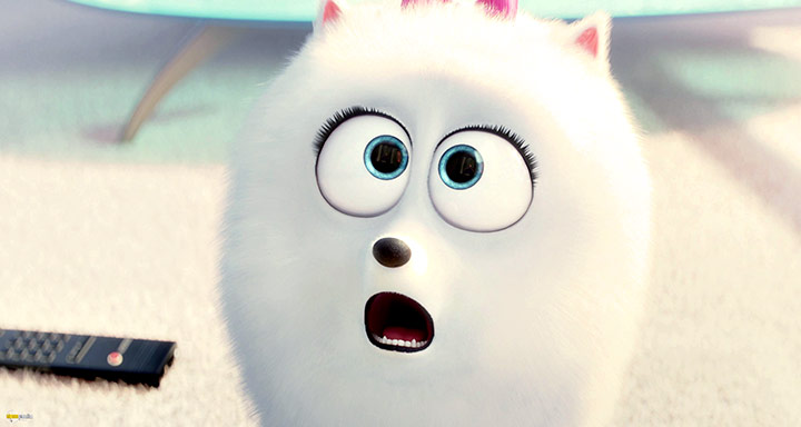 A still #52 from The Secret Life of Pets (2016)
