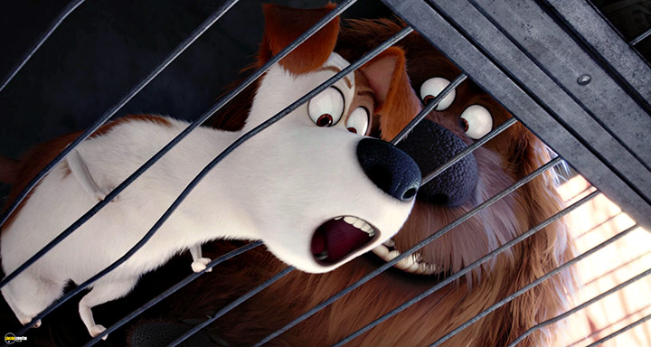 A still #50 from The Secret Life of Pets (2016)