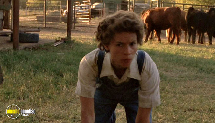 A still #38 from Temple Grandin (2010)