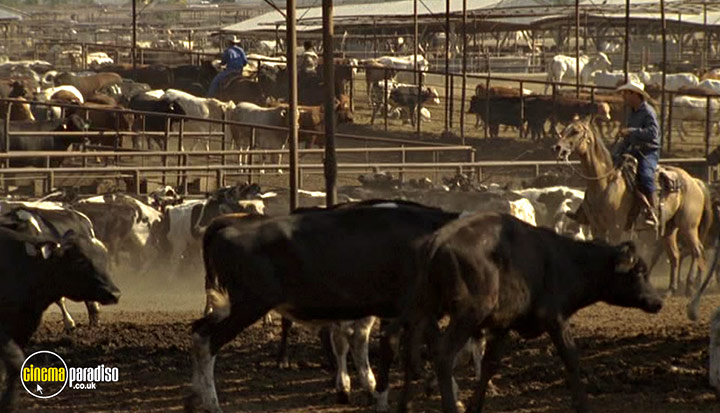 A still #32 from Temple Grandin (2010)
