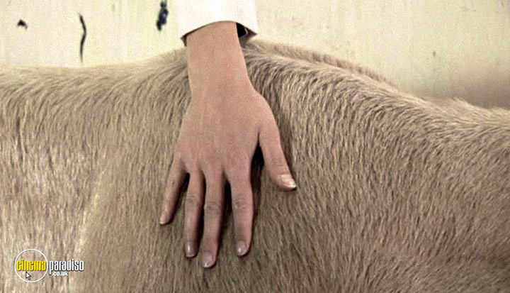A still #53 from Temple Grandin (2010)