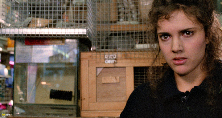 A still #10 from Hellraiser (1987)