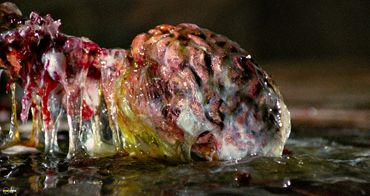 A still #70 from Hellraiser (1987)