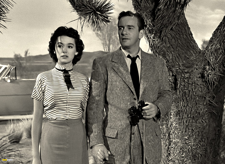 A still #1 from It Came from Outer Space (1953)