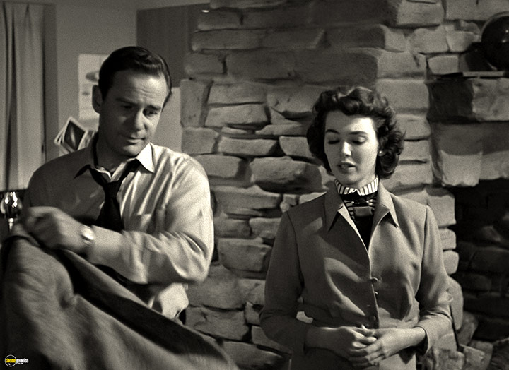 A still #28 from It Came from Outer Space (1953)