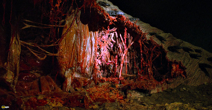 A still #22 from Tremors 2 (1996)