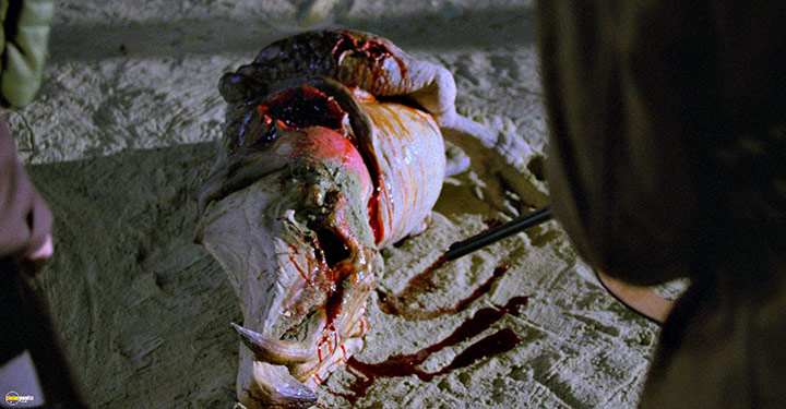 A still #30 from Tremors 2 (1996)