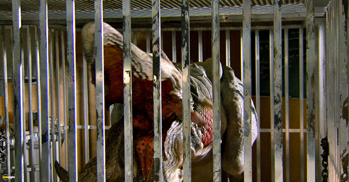 A still #41 from Tremors 2 (1996)