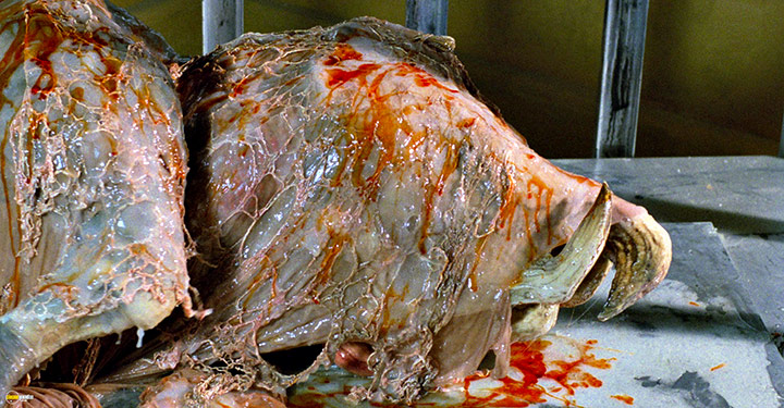 A still #44 from Tremors 2 (1996)