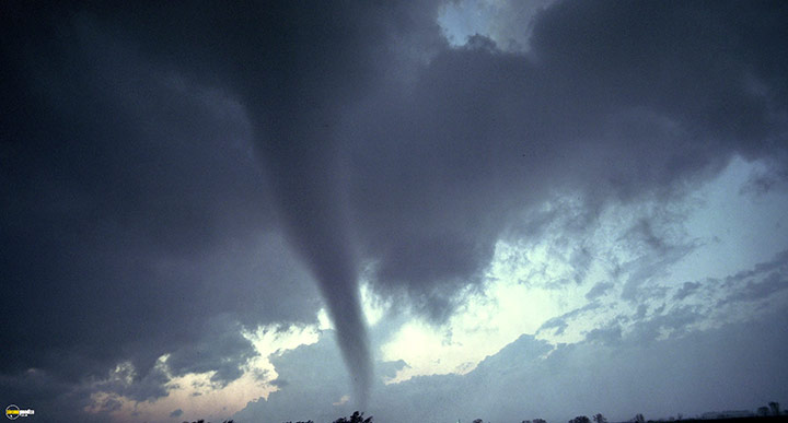 A still #38 from Tornado Alley (2011)