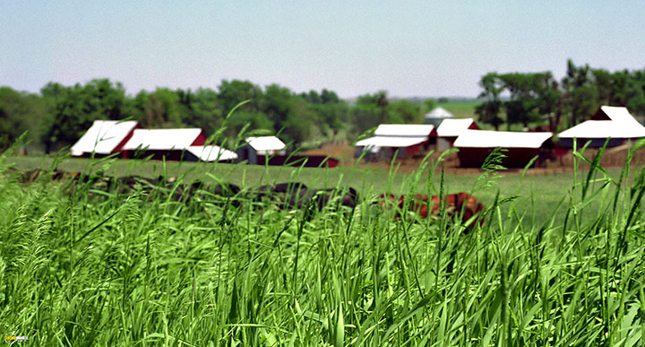 A still #44 from Tornado Alley (2011)
