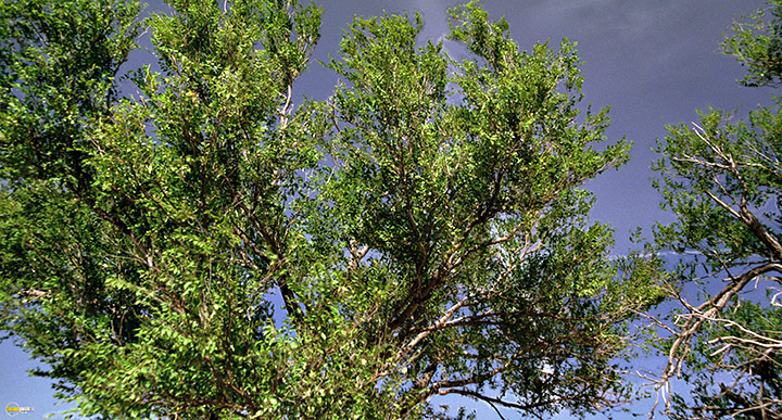 A still #45 from Tornado Alley (2011)