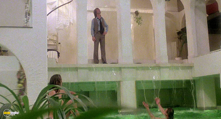 A still #37 from The Stud (1978)
