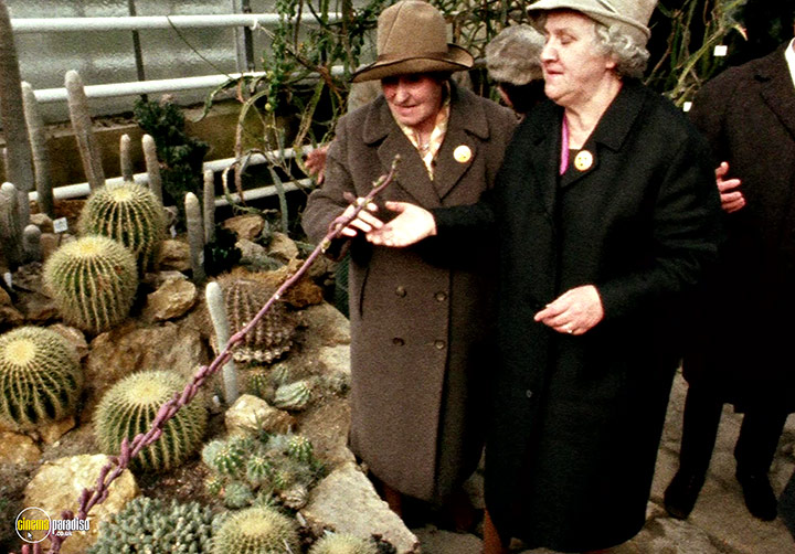 A still #72 from Land of Silence and Darkness (1971)