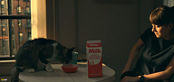 A still #86 from Madame Web (2024)