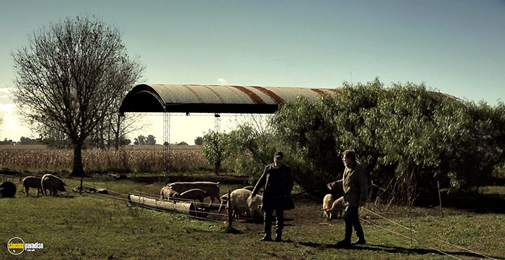 A still #16 from Trenque Lauquen (2022)